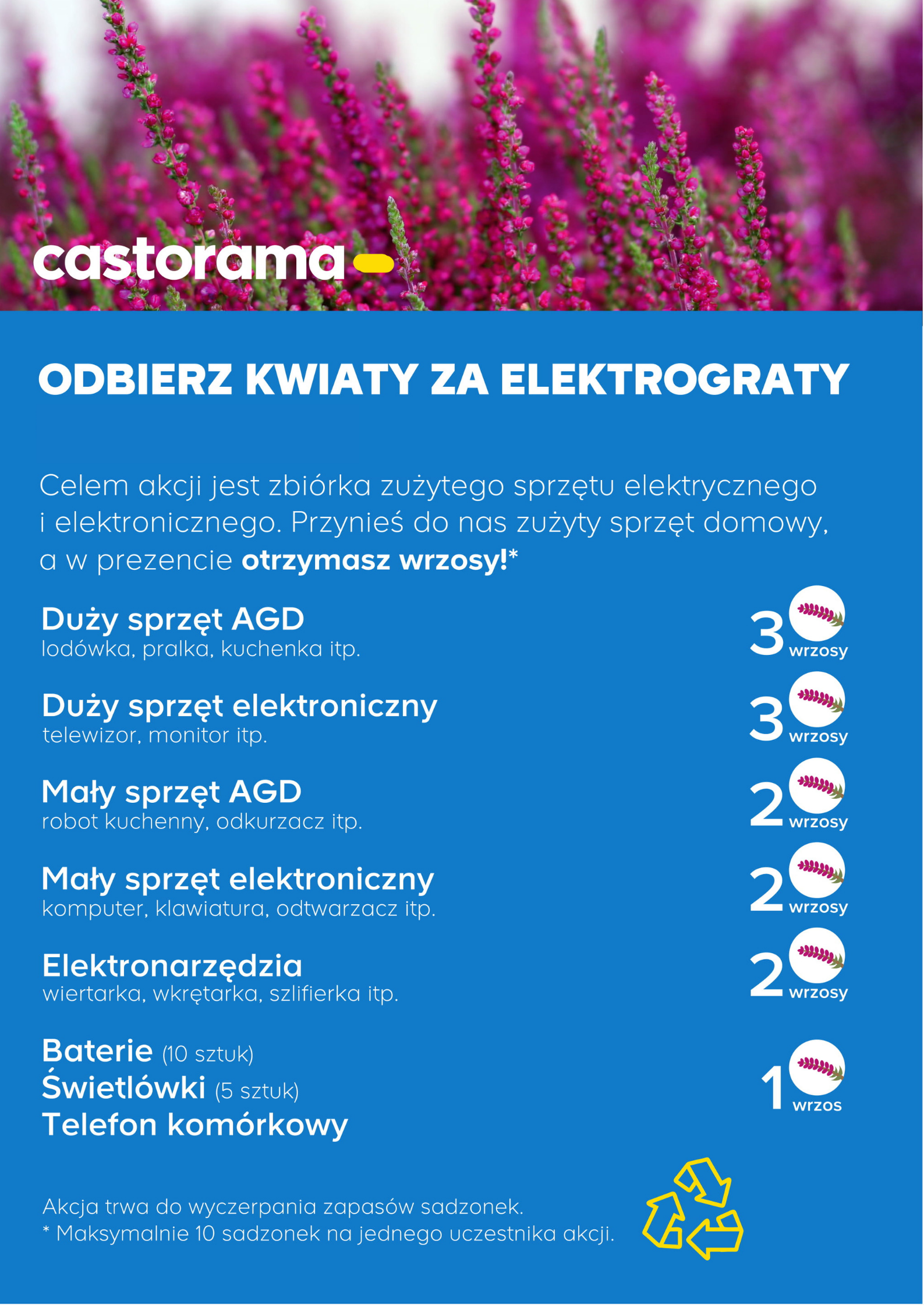 Przed Nami Kolejna Edycja Akcji Kwiaty Za Elektrograty W Castoramie Portal Publicrelations Pl